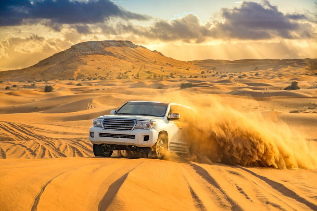 Safari Desert