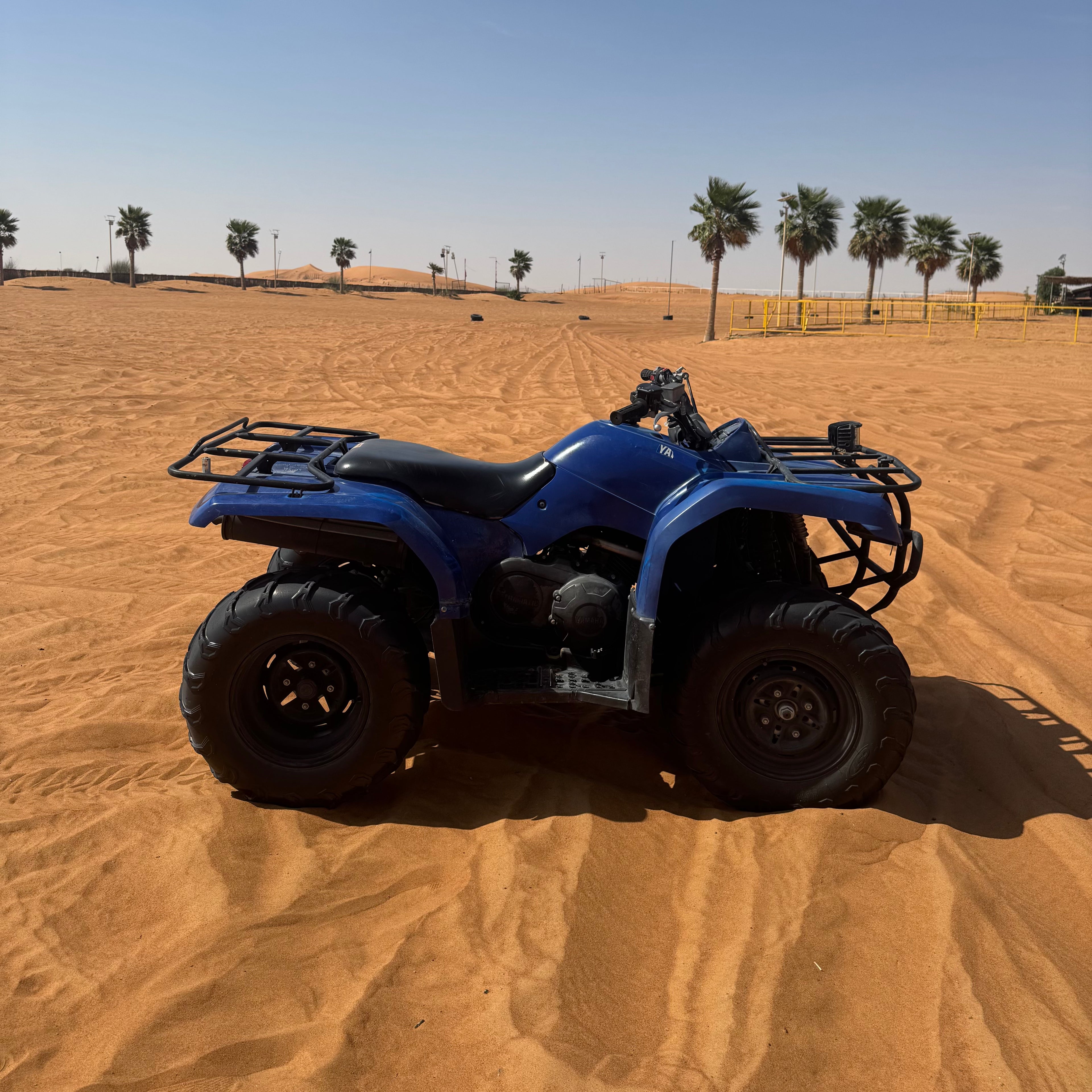 Grizzly 350 (automatique)