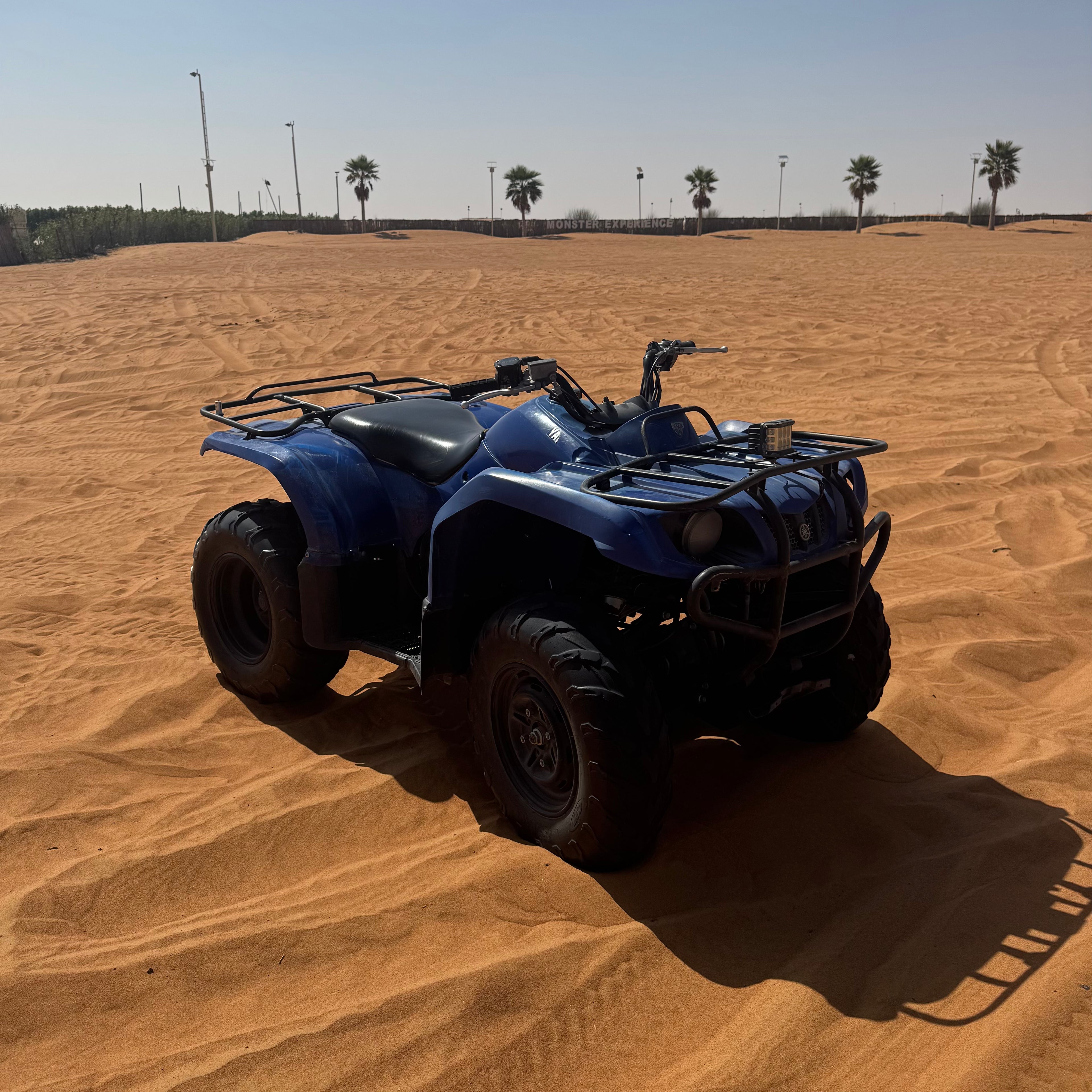 Grizzly 350 (automatique)