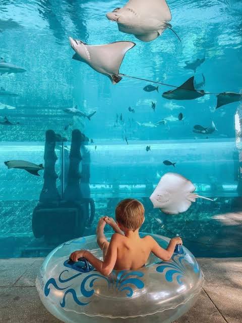 Atlantis Aquaventure Waterpark